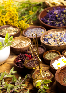 Plantes médicinales